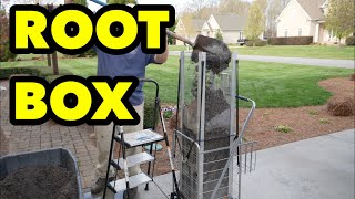 How DEEP Will Grass Roots Go In PERFECT Growing Conditions?