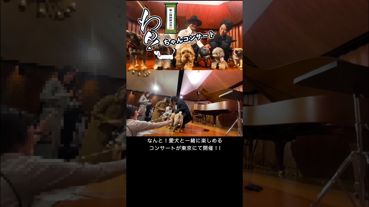 【神】ワンちゃんと一緒にコンサート！　#shorts