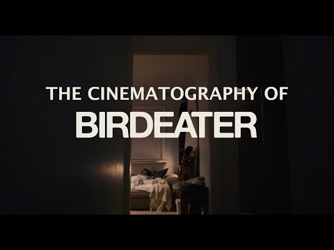 Cinematography