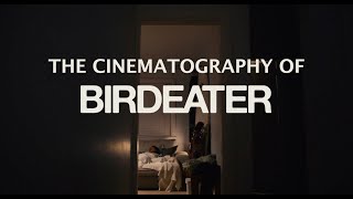 Cinematography