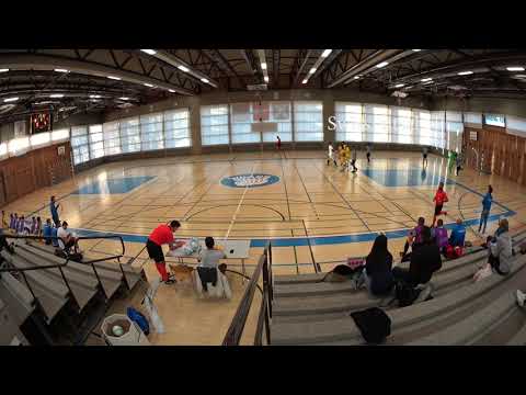 20190316 Futsal Team Fribourg Old Fox - Futsal Minerva 0 : 6