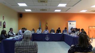 Ple ordinari de 22 de març de 2018 (part 2)