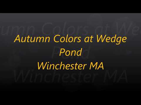 Autumn colors at Wedge Pond in Winchester  MA
