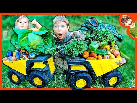 DUMP TRUCK'S BIG ORGANIC GARDEN HARVEST!