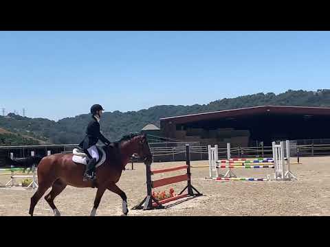 GoGo - Training @ Kismet Farms, July 19, 2020