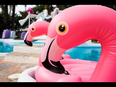 Ciklum Malaga: Flamenco Summer Party 2017