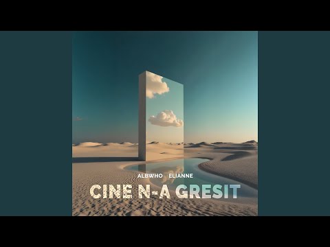 Cine N-a Gresit