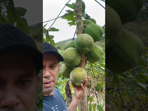 nós fundões das minas gerais #nixonmachadovariedades #compartilhe #valedojequitinhonha