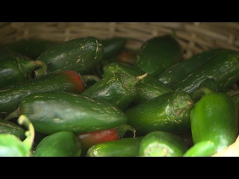 Hot peppers can help prevent obesity