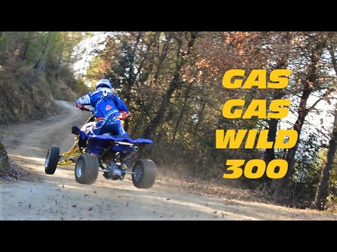 Gas Gas Wild 300 THE MONSTER QUAD Trail Shredding 2 STROKE