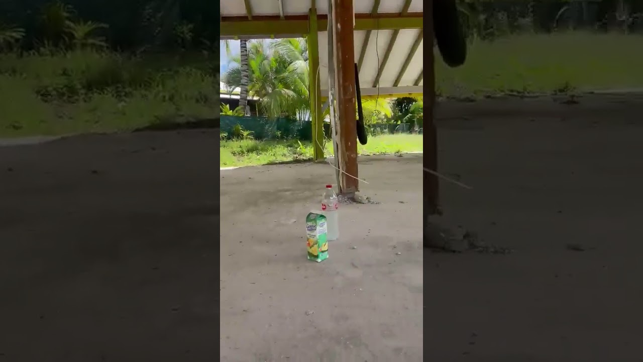 Vidéo externe