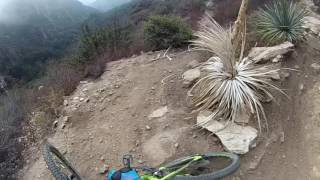 Mt. Wilson Downhill Shuttle with SCOA.