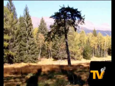 MUSICA: Dio d'amore...