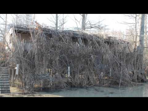 Archive 49 Video thumbnail