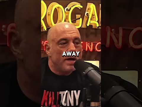 Unpacking the Light Heavyweight Title Picture Ankalaev vs. Pereira Strategies