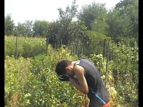 O Vacanta in Cuba 2: Razbunarea lui Sid Kali - Film Artistic