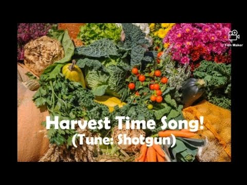 Harvest Time Song (Tune: Shotgun/George Ezra) Harvest Celebration - Rhona Alcorn