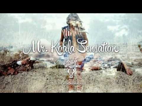 Henri Pfr & Richard J Aarden - Little Sparrow (Original Mix)