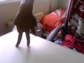Fingers Break Dance Champ ‍ ️