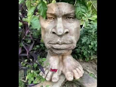 The Wild Fire disaster ft.Brian Ball