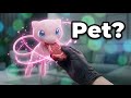 I Got A Pet MEW Pokémon