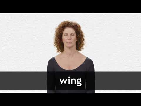 WING definition in American English