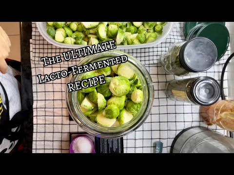 REALLY EASY FERMENTED BRUSSEL SPROUTS Recipe