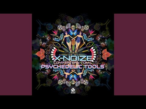 Psychedelic Tools (Original Mix)