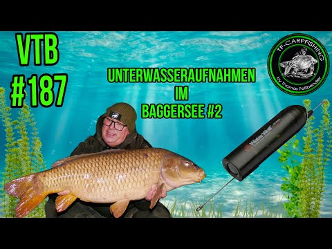CARP FISHING VTB#187 - Underwater footage taken at the end of November in the quarry lake #2025 #...