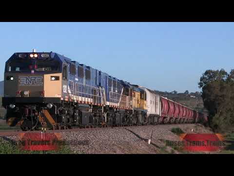 NREC locomotives 1202 1201 4532 CLP12 lead Southern Shorthaul Railroad grain train 3 November 2020