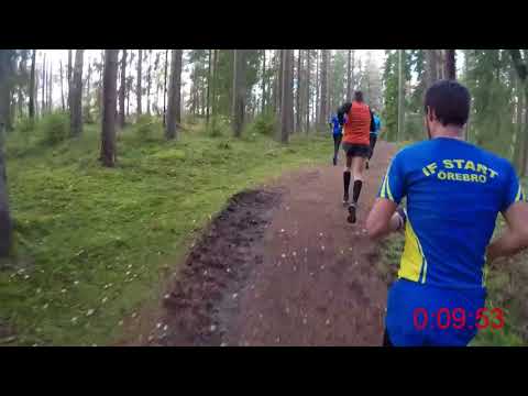Närkes Terräng-DM (långa) 2017 - 12 km (Löparperspektiv)