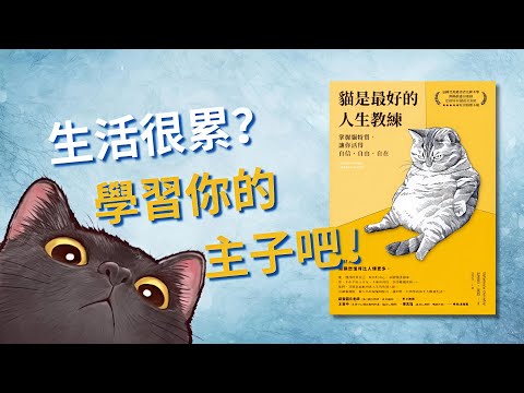 為什麼人充滿焦慮，貓卻能活得自在？學習停止內耗的貓系哲學 🐱 揭秘貓貓的高冷生存智慧!😎找回人生主導權！🚫💪🏻 |【自我成長】