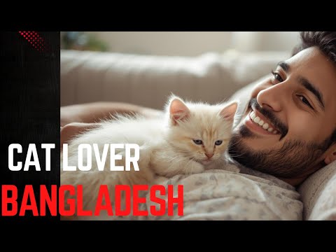 Adorable Baby Cat Moments 😻 | Pet Cat from Bangladesh | Funny & Cute