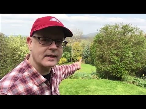 English in your Ear / LIVE / The Sheep Are Back / 9th April 2019 / misterduncan