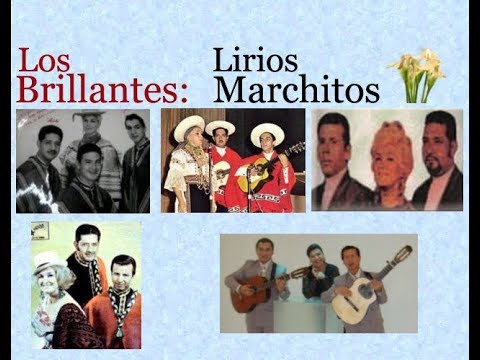 Lirios Marchitos - Trío los Brillantes