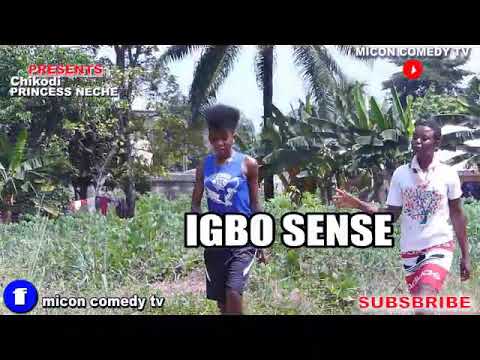 Igbo Sense.