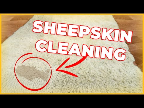YouTube video about: How to clean sheep skin rug?