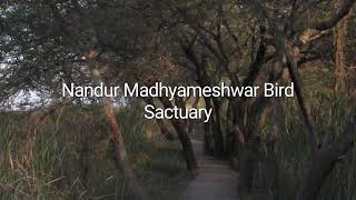 preview picture of video 'Nandur Madhyameshwar | Bird Sanctuary'