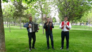 Maksi Islami - Hipa Në Një Degë, Mblodha Ca Qershi