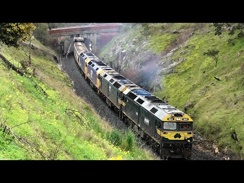 G528-543 as 0049 arrive Ravenswood Loop 10.08 , G543-528-522-BL29 on 9050 and depart at 12.04.