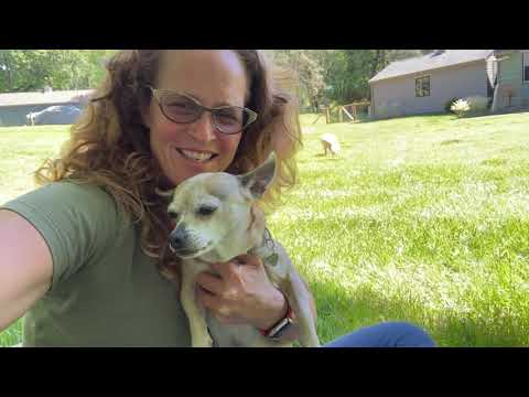 Laura's Animals Talk About Their Cross Country Animals