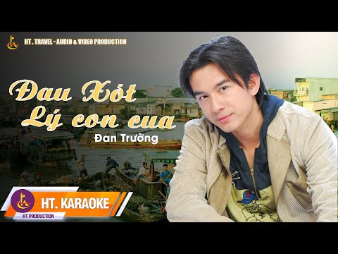 KARAOKE || ĐAU XÓT LÝ CON CUA || ĐAN TRƯỜNG FT CẨM LY