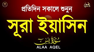 সূরা ইয়াসিন প্রতিদিন সকালে শুনুন l সকালের শ্রেষ্ঠ আমল l Surah Yaseen l سوره يس Record by Alaa Aqel