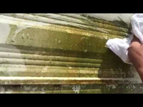 Removing mildew from  my camper