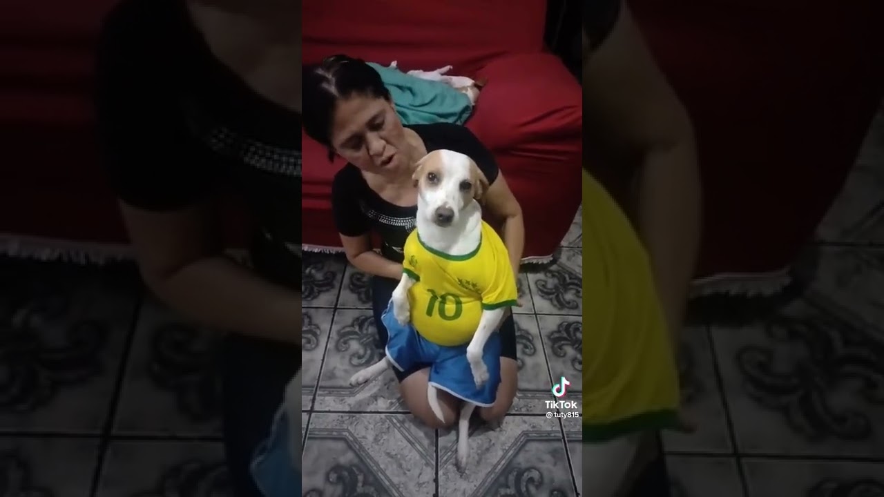 Watch Now cachorro barrigudo cachorro barrigudo