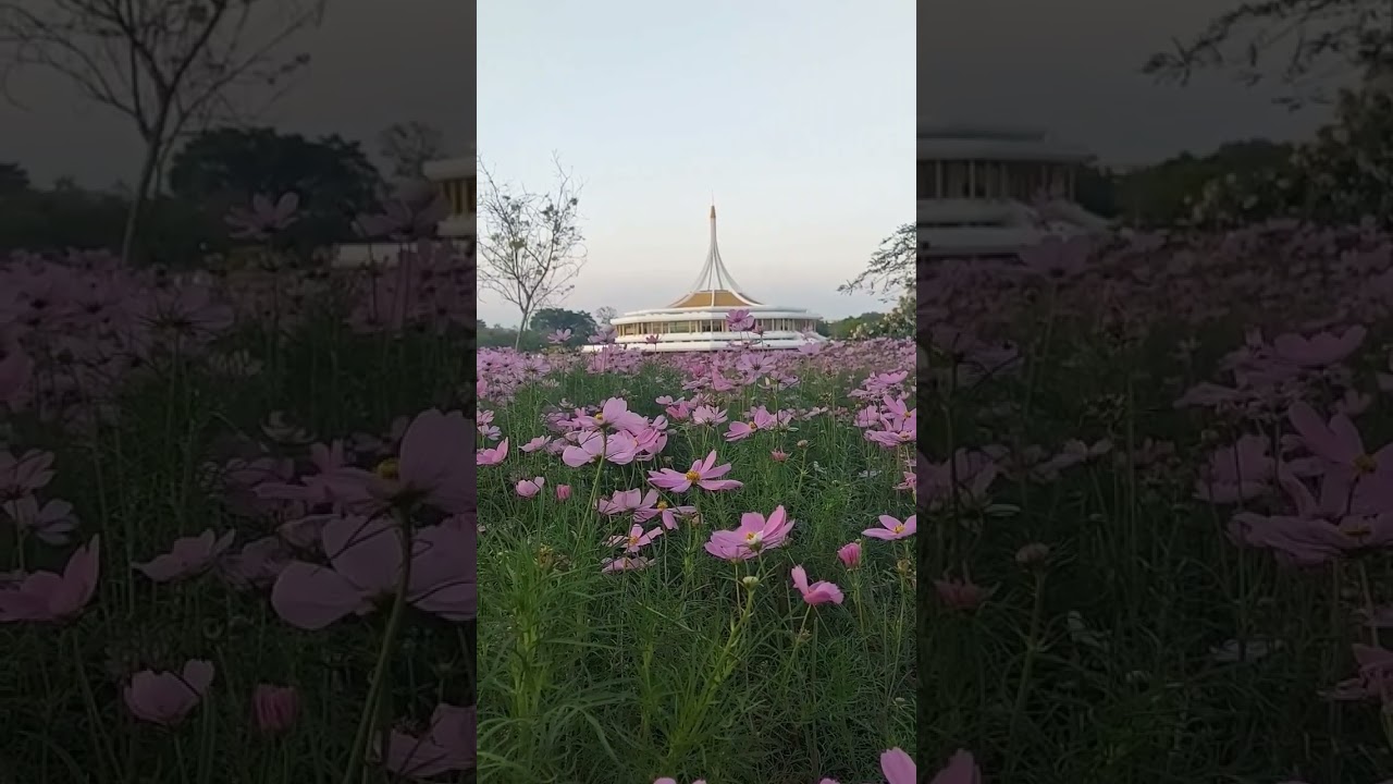 YouTube Short thumbnail