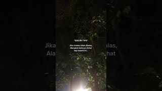 Download lagu stroy wa chat tidak dibalas || stroy wa terbaru || status wa 30 detik mp3