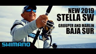 Shimano stella 10000 fa