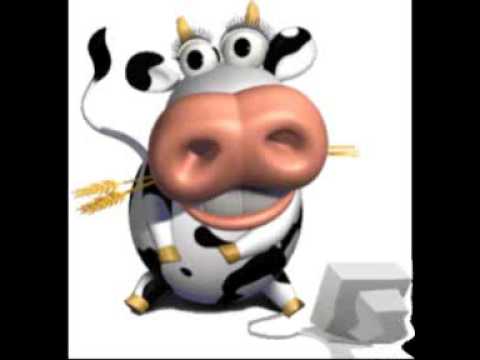 pourquoi oh la vache