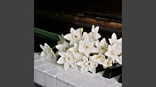 Piano (Original Mix)